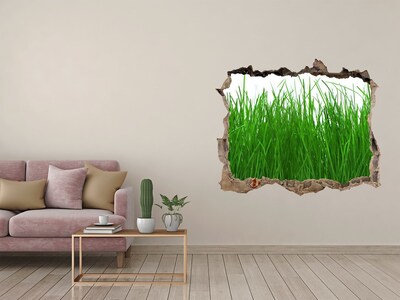 Zelfklevende 3D wandsticker illusie Groene weide door een gat in de muur