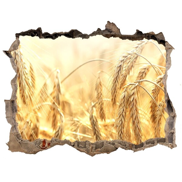 Wandsticker 3D doorkijk Gouden tarwevelden