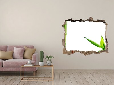 Wandsticker 3D gat met uitzicht Groene plant door een gat in de muur