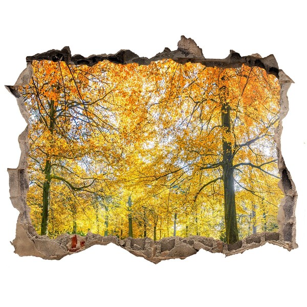Wandsticker 3D doorkijk Gouden herfst in het bos