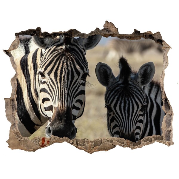 Wandsticker 3D gat met uitzicht Zebra's in hun natuurlijke leefomgeving