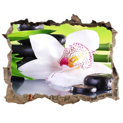 Wandsticker 3D doorkijk Een bloemenoase van rust