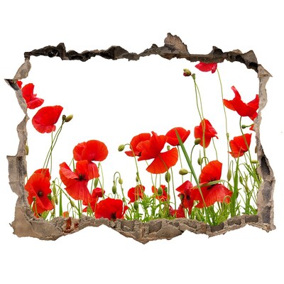 Zelfklevende muursticker 3D gat Een bloemenparadijs in beton.