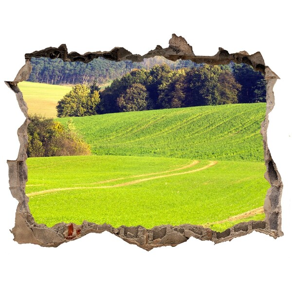 Wandsticker 3D gat met uitzicht Een groene weide achter de muur