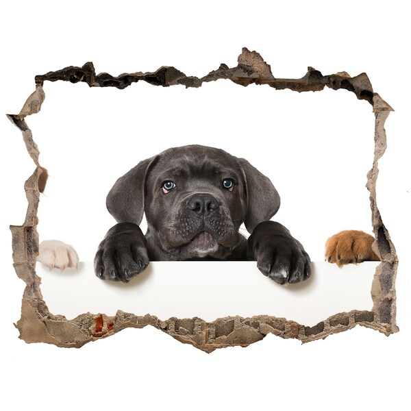 Wandsticker 3D doorkijk Lief puppy'tje van achter de muur