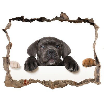 Wandsticker 3D doorkijk Lief puppy'tje van achter de muur