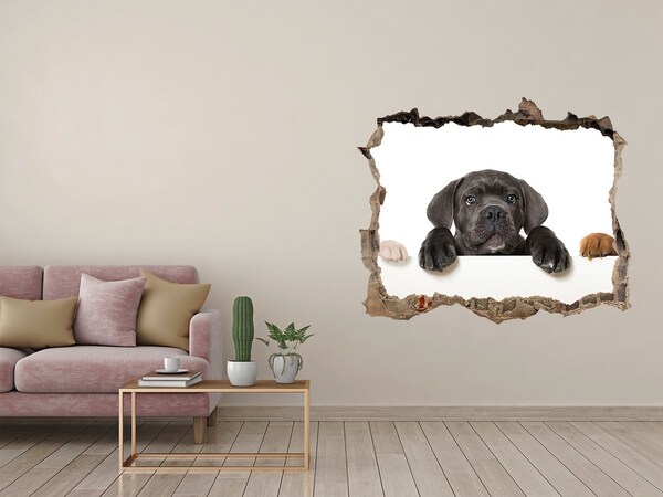 Wandsticker 3D doorkijk Lief puppy'tje van achter de muur