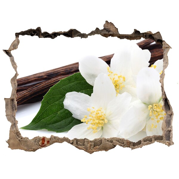 Wandsticker 3D gat met uitzicht Jasmijnbloemen in beton