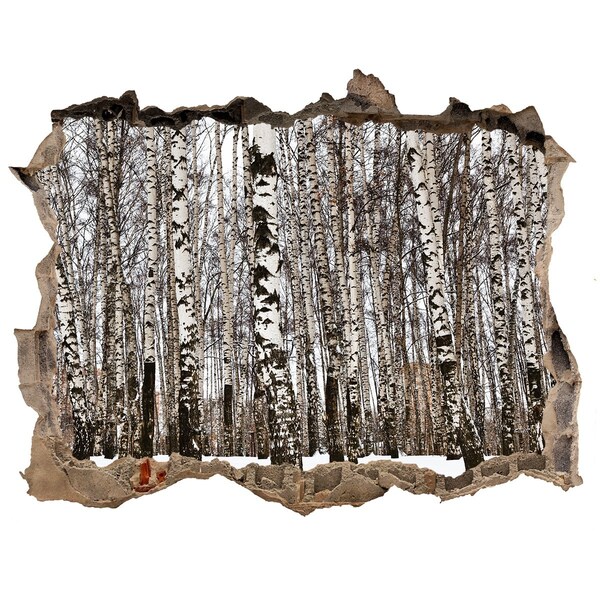 Wandsticker 3D gat met uitzicht Winterberkenbos