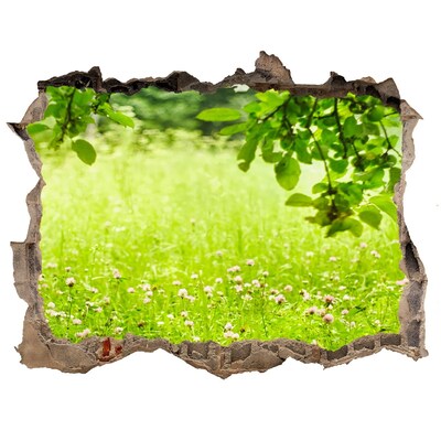 Zelfklevende muursticker 3D gat Een groene weide achter de muur