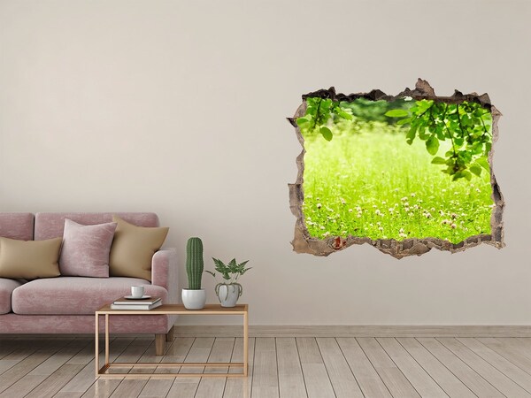 Zelfklevende muursticker 3D gat Een groene weide achter de muur