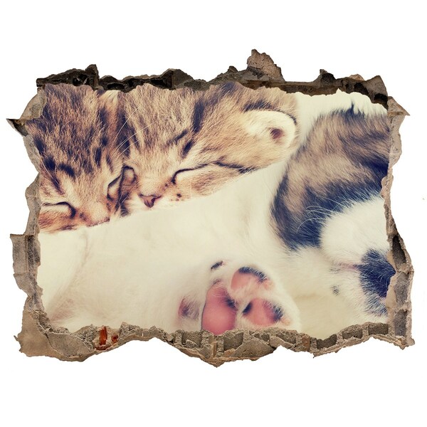 Wandsticker 3D gat met uitzicht Schattige kittens in een gat in de muur