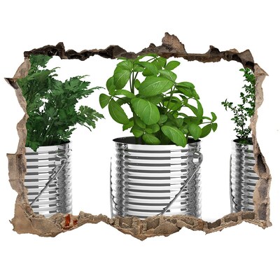 Wandsticker 3D gat met uitzicht Groene tuin in metalen potten