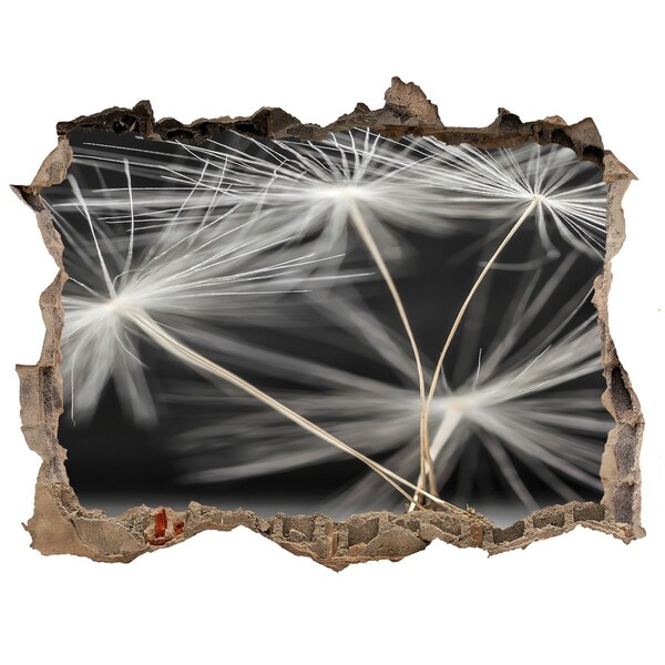 Wandsticker 3D doorkijk Paardenbloemen in beton