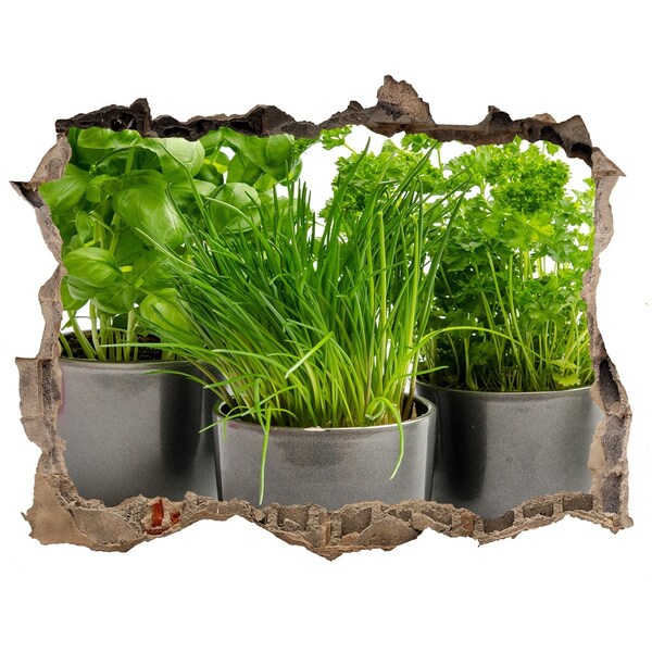 Wandsticker 3D doorkijk Groene tuin in potten