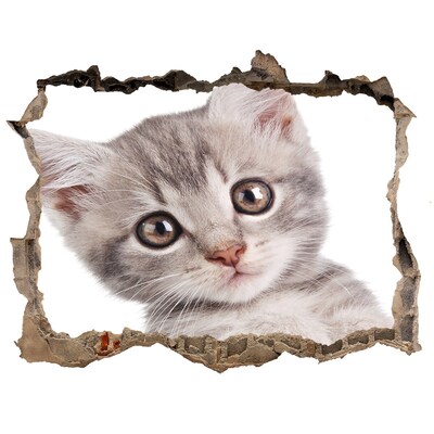 Zelfklevende muursticker 3D gat Kitten in een gat in de muur