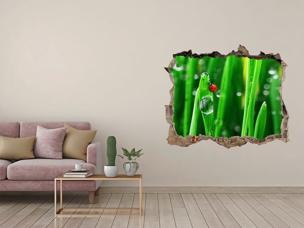 Wandsticker 3D gat met uitzicht Een dauwdruppel op het gras met een lieveheersbeestje