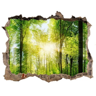 Wandsticker 3D doorkijk Groen bos met zonnestralen