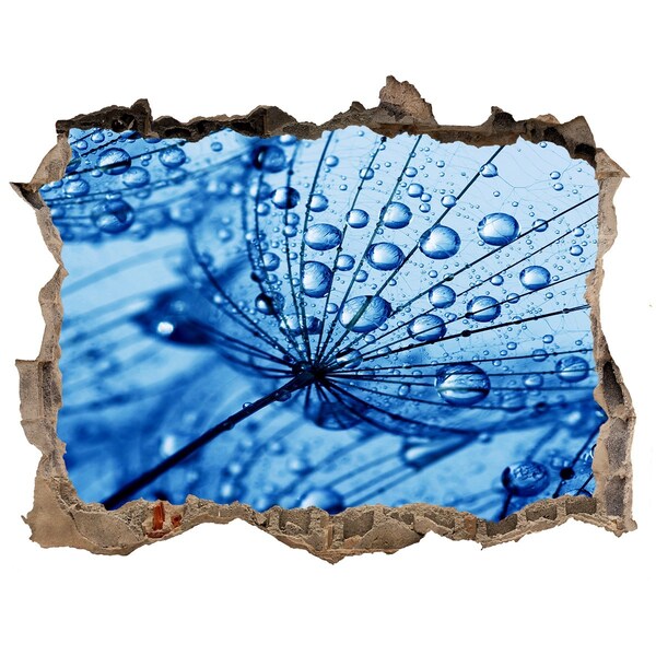 Wandsticker 3D gat met uitzicht Druppels water op een tere bloem