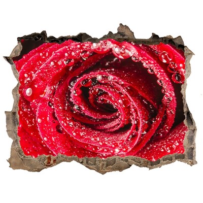 Zelfklevende 3D wandsticker illusie Roos met waterdruppels