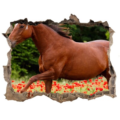 Wandsticker 3D gat met uitzicht Een paard in een veld vol klaprozen