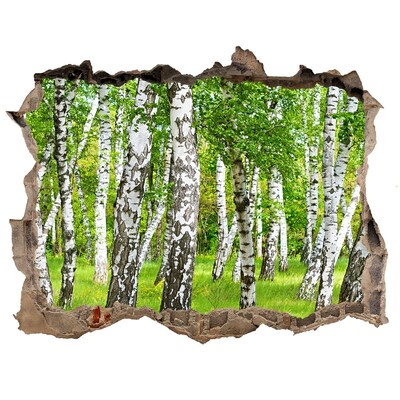 Wandsticker 3D doorkijk Groene berkenbos
