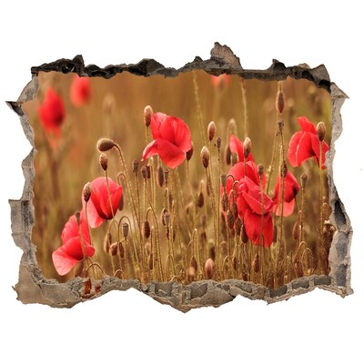 Zelfklevende muursticker 3D gat Bloemen tussen de ingestorte muur