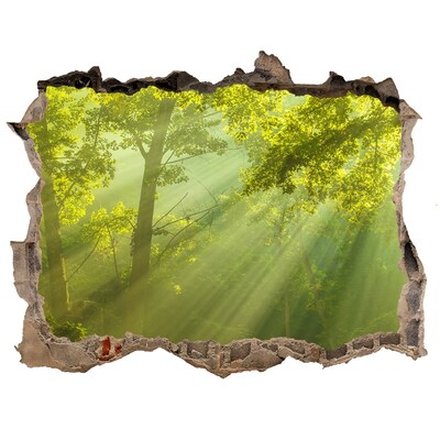 Wandsticker 3D doorkijk Groen bos met zonnestralen
