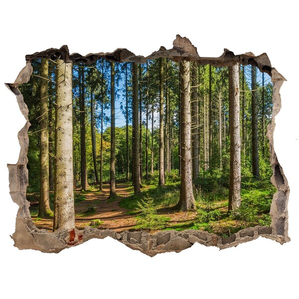 Zelfklevende 3D wandsticker illusie Een bospad in het dichte bos.