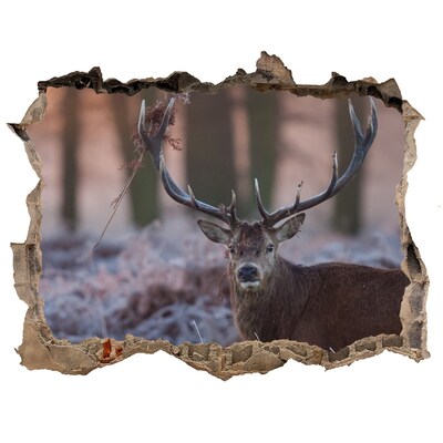 Zelfklevende 3D wandsticker illusie Herten in het bos