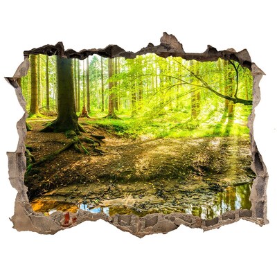 Wandsticker 3D doorkijk Een oase van rust in het bos