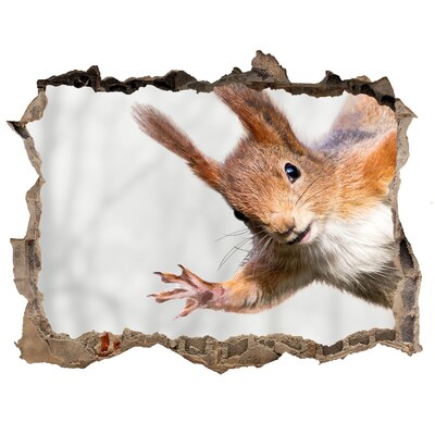 Zelfklevende 3D wandsticker illusie Eekhoorn in actie