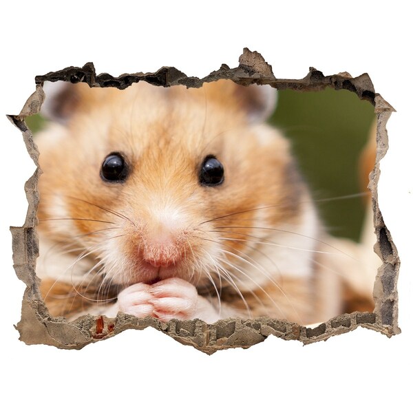 Wandsticker 3D gat met uitzicht Hamster in een transparant gat in de muur