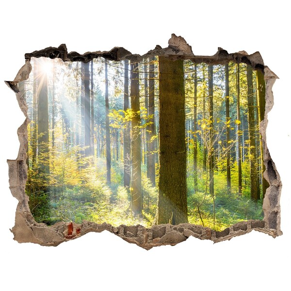 Wandsticker 3D gat met uitzicht Een oase van licht in het bos