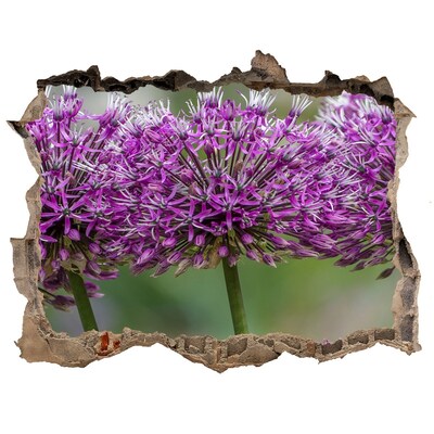 Wandsticker 3D gat met uitzicht Bloemen in bloei