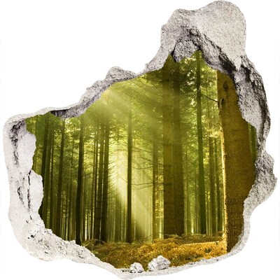 Zelfklevende muursticker 3D gat Groen bos in de ochtend