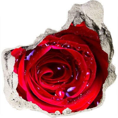 3D wandsticker gat in de muur Bloemenillusie in beton