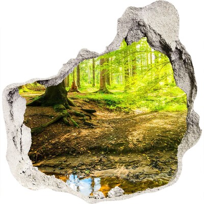3D wandsticker gat in de muur Groen bos met een beekje