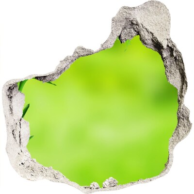Zelfklevende muursticker 3D gat Een groene oase achter de muur