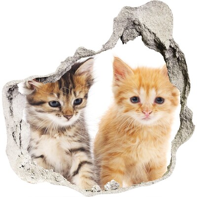 3D muursticker effect gat in de muur Kattenvriendjes achter het gat