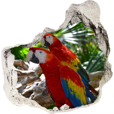 3D wandsticker gat in de muur Tropische papegaaien in de jungle