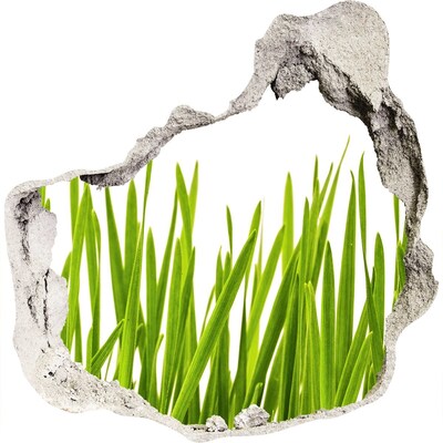 Zelfklevende muursticker 3D gat Groene weide door de muur heen