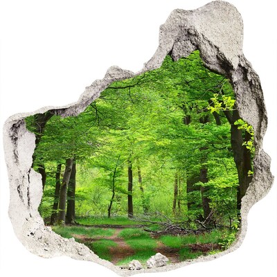 3D wandsticker gat in de muur Groen bos in een gat in de muur