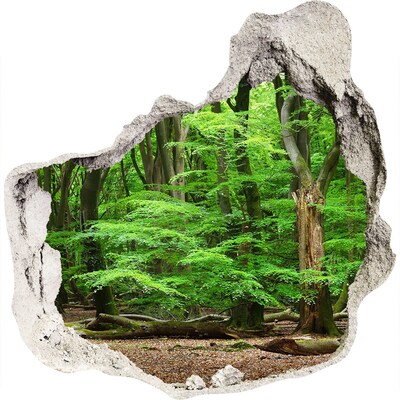 Zelfklevende muursticker 3D gat Groen bos in een gat in de muur