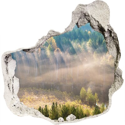 3D wandsticker gat in de muur Boslandschap achter de muur