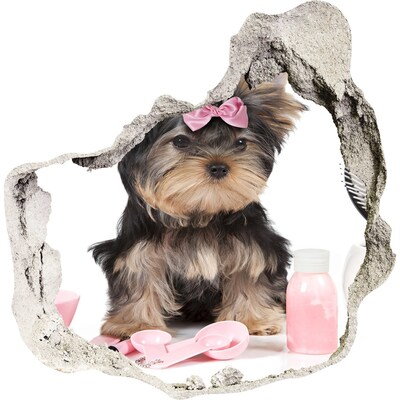 Zelfklevende muursticker 3D gat Een schattige Yorkshire Terrier met een roze strik.