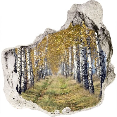3D muursticker effect gat in de muur Herfstberkenlaan