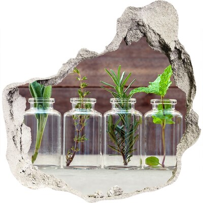 3D muursticker effect gat in de muur Een groene oase in glazen potten.