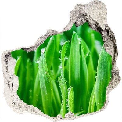 3D wandsticker gat in de muur Groene weide met waterdruppels