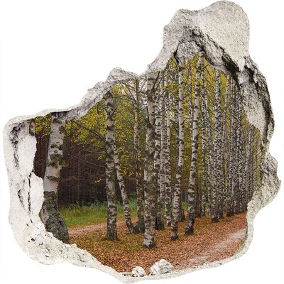 Zelfklevende muursticker 3D gat Boslaan tussen berken